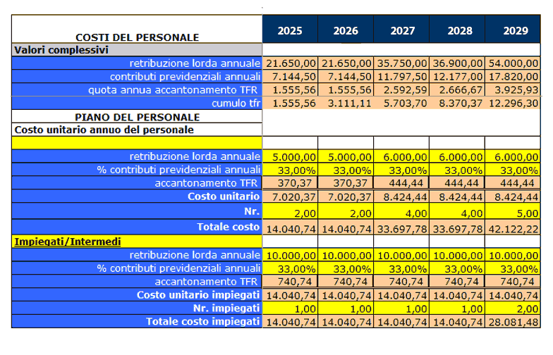 Joint business plan template excel image