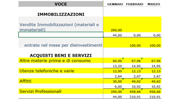 Budget di Tesoreria immobilizzazioni