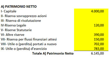 Calcolo Patrimonio Netto indici della crisi d'impresa