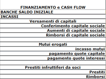 finanziamenti e cash flow