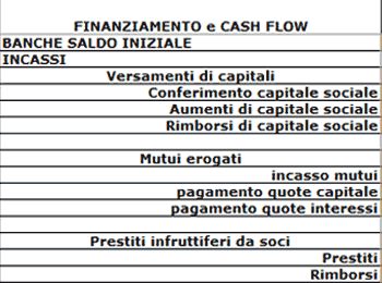 software business plan italiano finanziamenti e cash flow