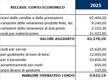 software business plan italiano conto economico