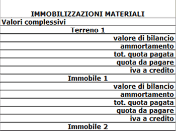 software business plan italiano Immobilizzazioni