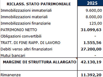 software business plan italiano stato patrimoniale