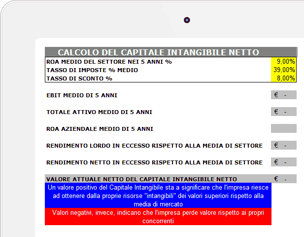 Bilancio Intangibile