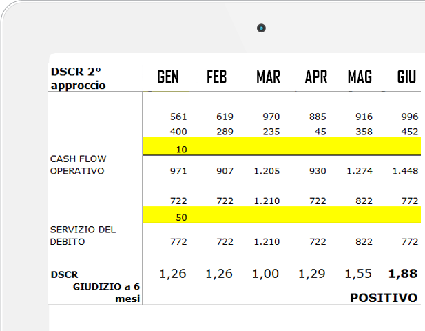 Software Excel DSCR calcolo indici allerta crisi