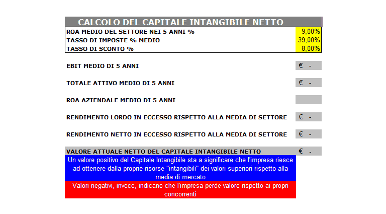 Bilancio Intangibile 